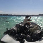 Trash loaded on the boat.