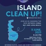 Island Cleanup Poster