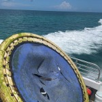 Retrieved debris onboard the Phoenix vessel 