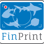 Global FinPrint visit Oceans 5 Gili Air